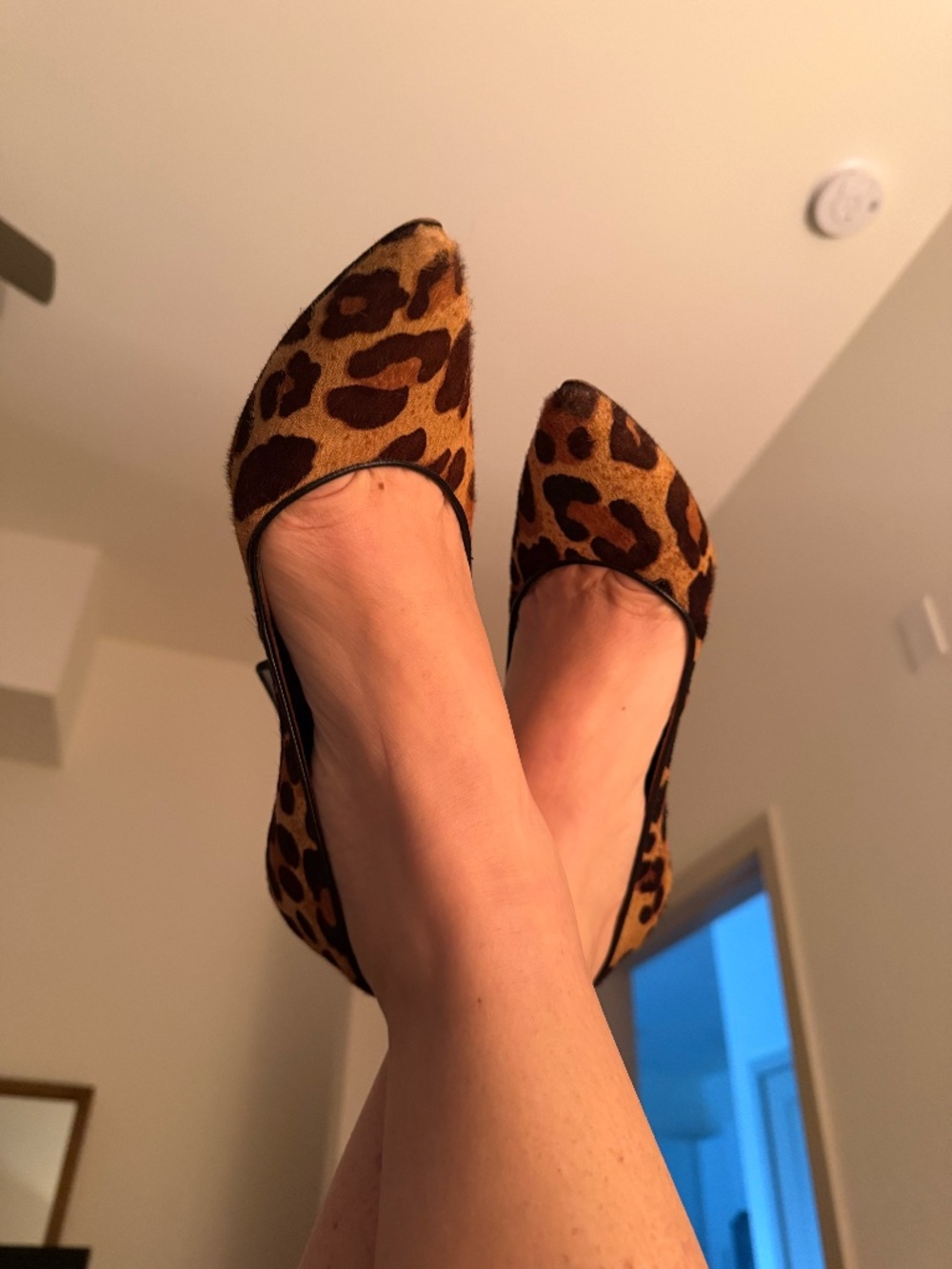 Donal J Pilner Heels, size 8.5 M